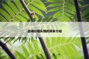 战场拉镜头慢的简单介绍