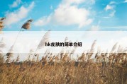 hk皮肤的简单介绍