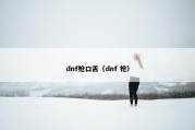 dnf枪口舌（dnf 枪）