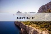 毒王DNF？ 毒王千金？