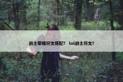 战士荣耀符文搭配？ lol战士符文？