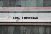 二白块儿（二白散功效治什么病）