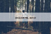 dnf上15多少钱，dnf+15