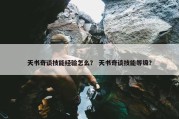 天书奇谈技能经验怎么？ 天书奇谈技能等级？