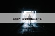 红咪软件（红猫咪软件app是什么）
