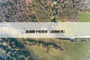 战场哪个机枪好（战场枪术）