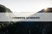 ro手游柔软羽毛（gbf柔软的羽毛）
