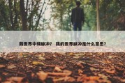 我世界中频脉冲？ 我的世界脉冲是什么意思？