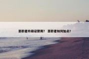 圣职者升级证使用？ 圣职者如何加点？