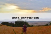 游戏养老，游戏养老号是什么意思