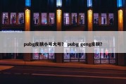 pubg皮肤小号大号？ pubg geng皮肤？