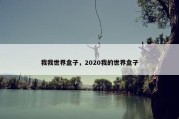 我我世界盒子，2020我的世界盒子