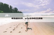 喊麦魔兽世界，wow世界喊话在哪里