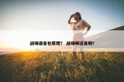 战场语音包原理？ 战场喊话音频？