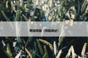概括技能（技能阐述）