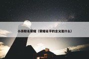 小孩取名荣耀（荣耀名字的含义是什么）