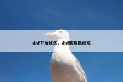 dnf开始修炼，dnf新角色修炼