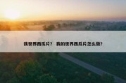 我世界西瓜片？ 我的世界西瓜片怎么做？