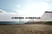 dnf极武圣首饰（dnf极武圣怎么玩）