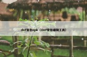 dnf背包npk（Dnf背包编辑工具）