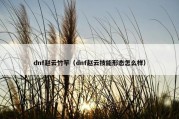 dnf赵云竹竿（dnf赵云技能形态怎么样）