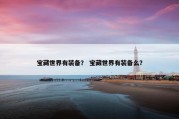 宝藏世界有装备？ 宝藏世界有装备么？