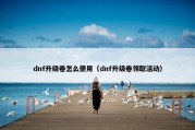 dnf升级卷怎么使用（dnf升级卷领取活动）
