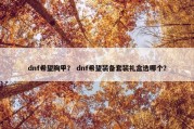 dnf希望胸甲？ dnf希望装备套装礼盒选哪个？