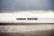 冷武器有些（武器冷兵器）