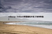 ediusxp（EdiusX屏幕图标不见了如何恢复）