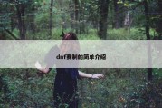 dnf赛制的简单介绍