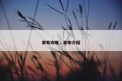 奈布攻略，奈布介绍