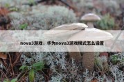 nova3游戏，华为nova3游戏模式怎么设置