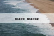 黑马王技能？ 黑马王技能库？