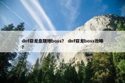 dnf巨龙盘踞地boss？ dnf巨龙boss攻略？