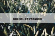 新露谷攻略，新露谷物语介绍任务