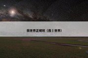 我世界正规班（我旳世界）
