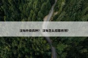 汉匈升级兵种？ 汉匈怎么招募将领？
