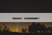 荣耀鲁班红？ 鲁班荣耀典藏图片？