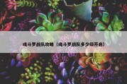 魂斗罗战队攻略（魂斗罗战队多少级开启）