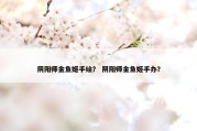 阴阳师金鱼姬手绘？ 阴阳师金鱼姬手办？