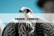 次激每战场？ 次战场是什么？