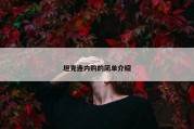 坦克连内购的简单介绍