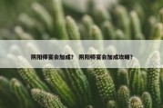 阴阳师宴会加成？ 阴阳师宴会加成攻略？