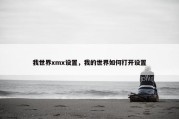 我世界xmx设置，我的世界如何打开设置