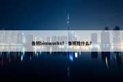 鲁班bimworks？ 鲁班姓什么？