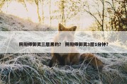 阴阳师御灵三层黑豹？ 阴阳师御灵3层1分钟？