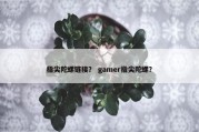 指尖陀螺链接？ gamer指尖陀螺？