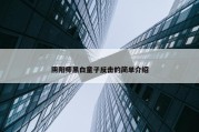 阴阳师黑白童子反击的简单介绍