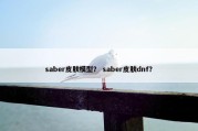 saber皮肤模型？ saber皮肤dnf？